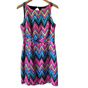 Lilly Pulitzer Kirkland Sheath Dress | Size 6